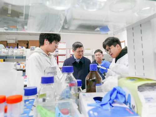 微信图片_20260214133253_94_14